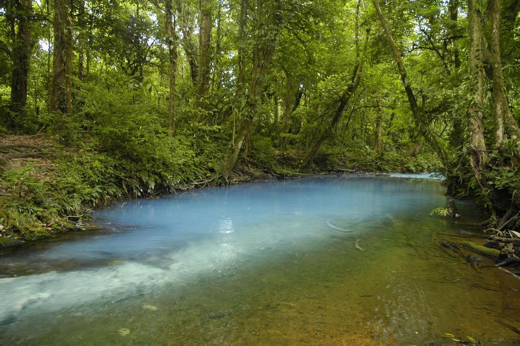 Hotel Catarata Rio Celeste Bijagua Εξωτερικό φωτογραφία