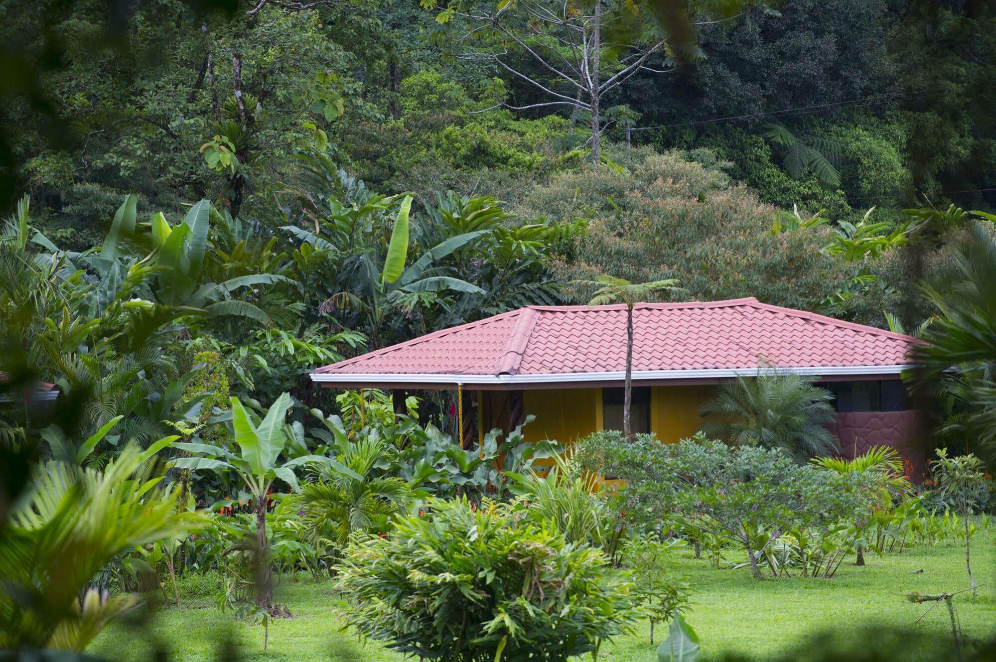 Hotel Catarata Rio Celeste Bijagua Εξωτερικό φωτογραφία